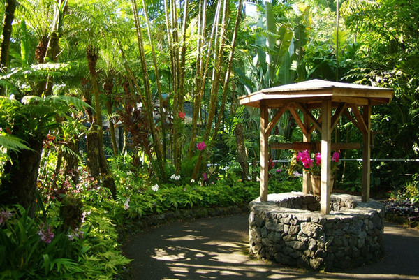 Orchid Garden, Hawaii Tropical Botanical Garden