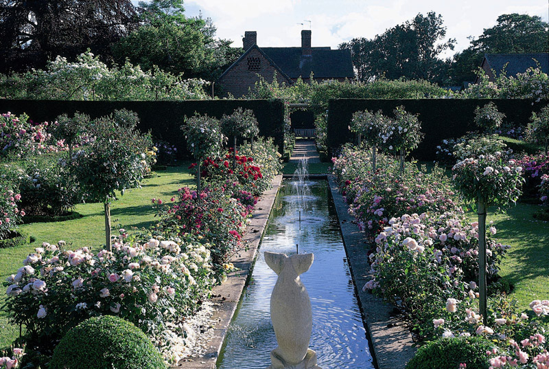 David Austin Rose Gardens