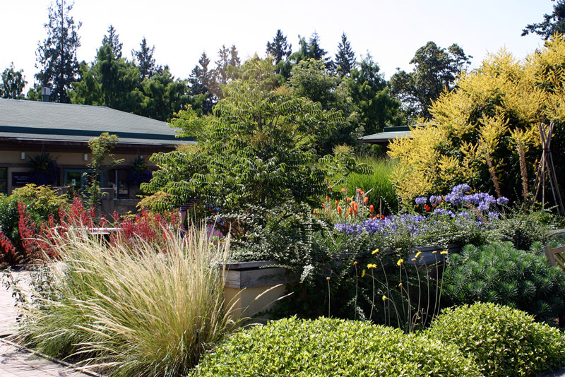 Ubc Botanical Garden