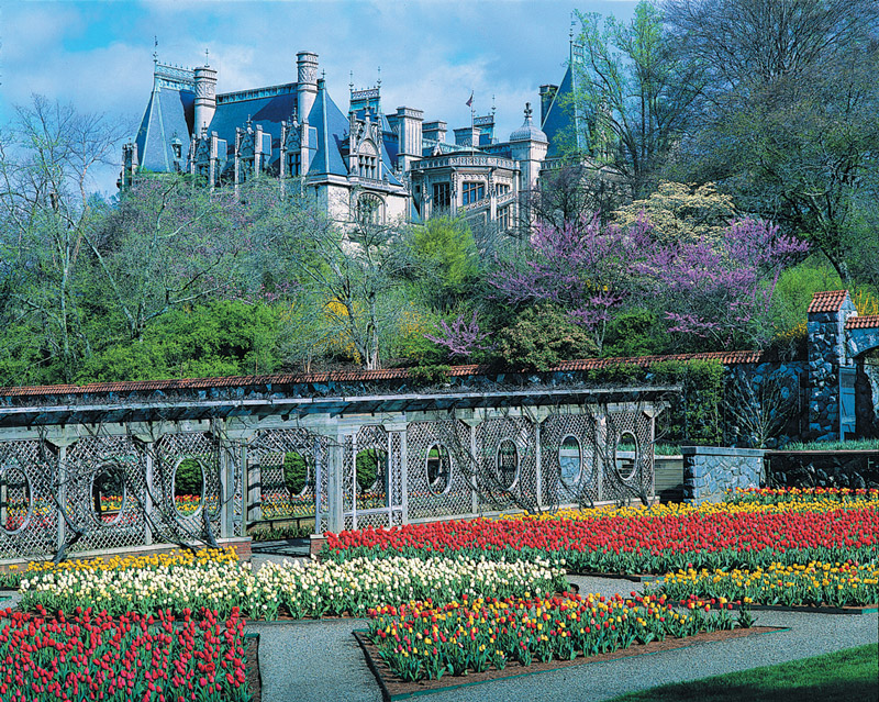 Biltmore Estate Garden Original 