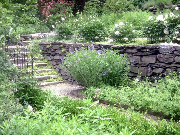 Shakespeare's Head Garden