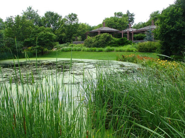 Pond, Wichita Gardens