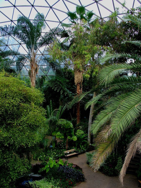 Conservatory, Des Moines Botanical Garden