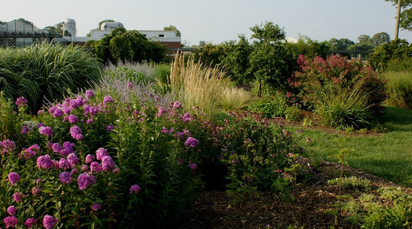 Delaware Botanical Garden