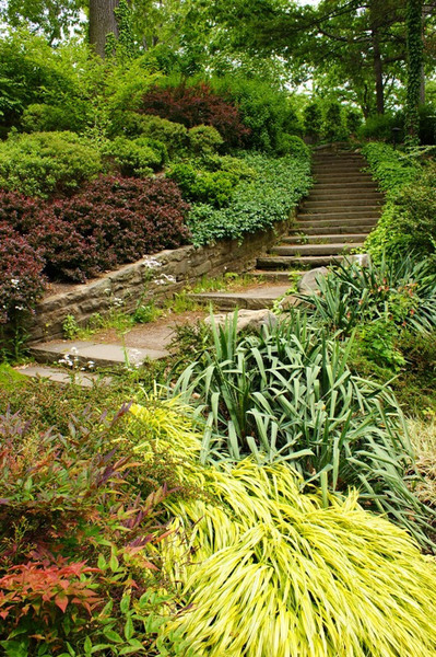 Steps, Cleveland Botanic Garden