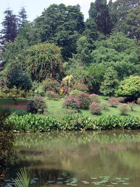 Peradeniya Botanic Gardens, Sri Lanka