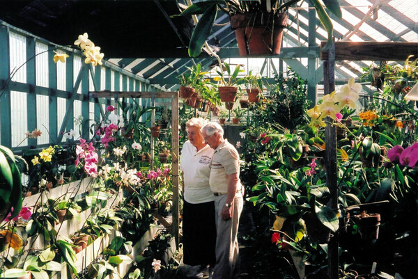 Orchid House, South Texas Botanical Garden