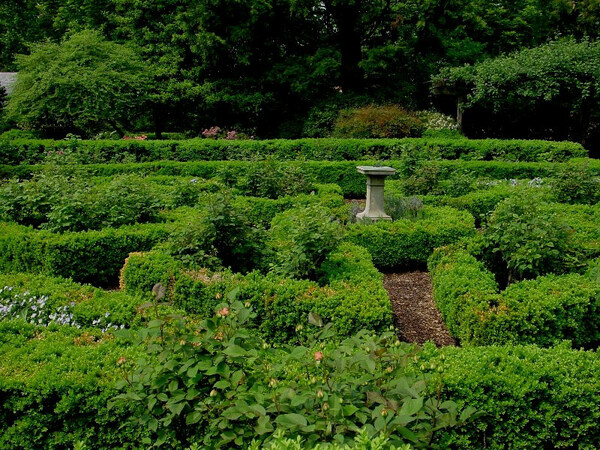 Tudor Place Garden
