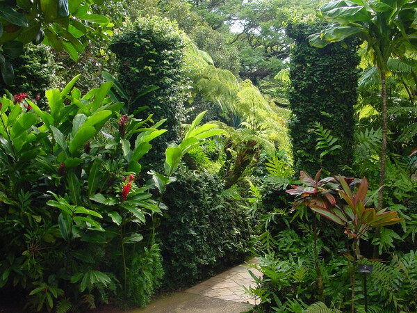 Queen Emma Summer Palace Garden, Hawaii