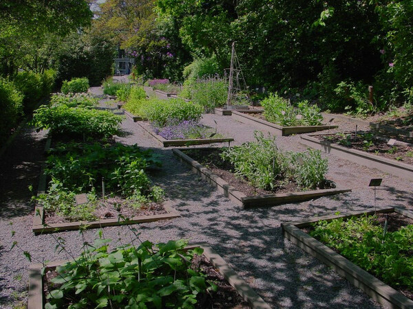 Medicinal Herb Garden, WA