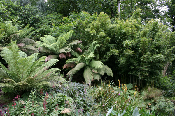 The Lost Gardens of Heligan, Summer