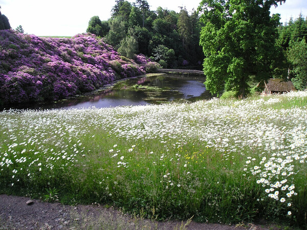Manderston Garden, Scottish Borders