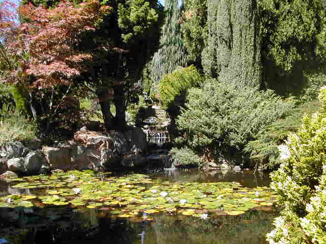 Hobart royal botanical gardens