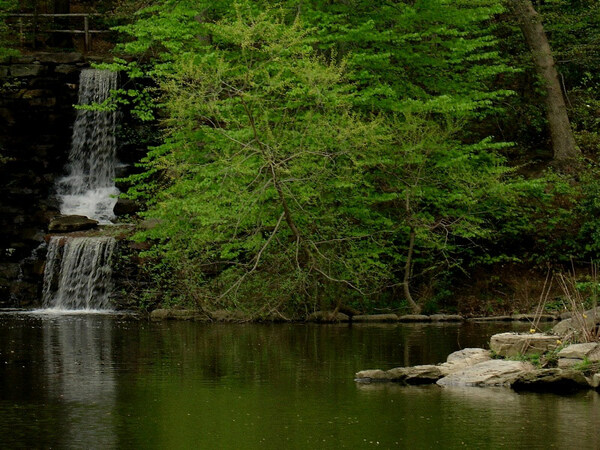 Waterfall, Winkler Botanical Preserve
