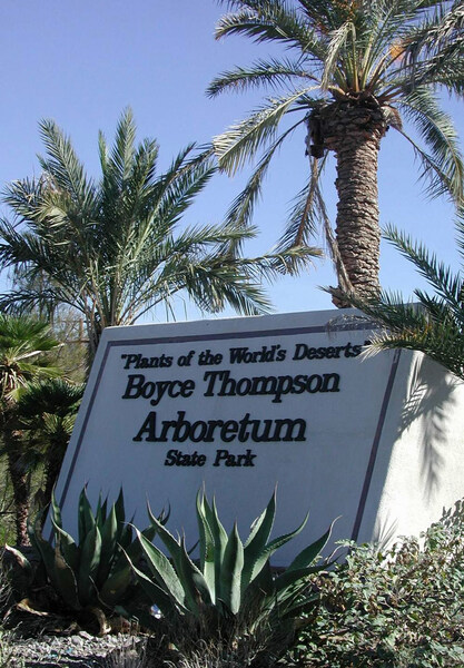 Boyce Thompson Arboretum, Arizona