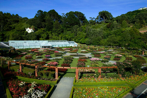 Lady Norwood Rose Garden, Wellington Botanic Garden