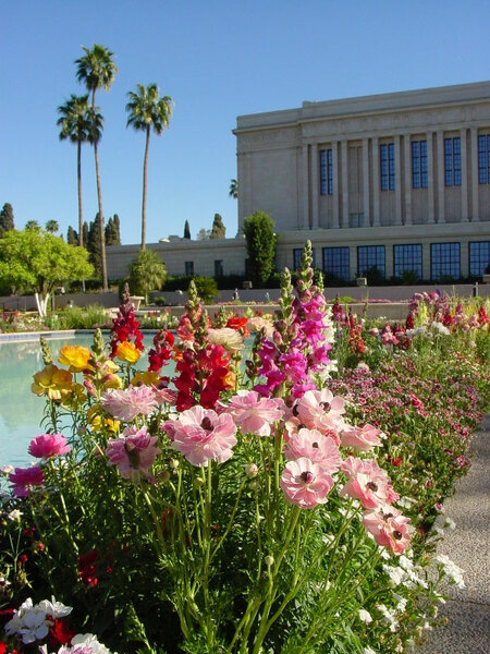 Mesa Temple Gardens, AZ