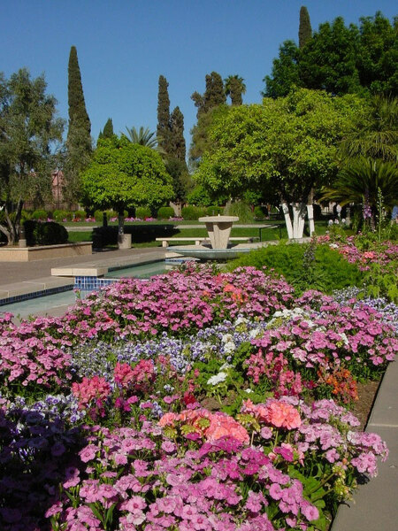 Mesa Temple Gardens
