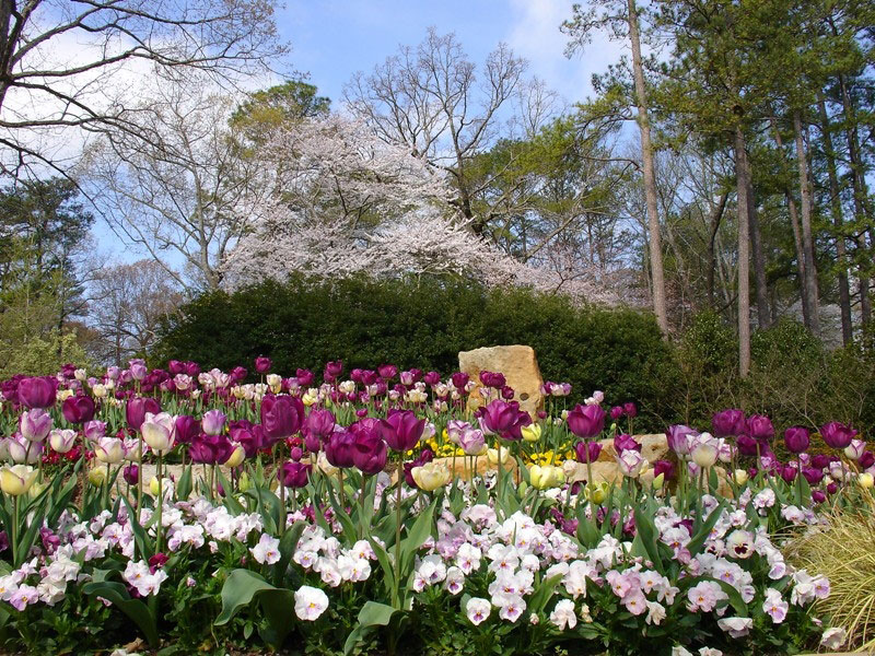 Birmingham Botanical Gardens