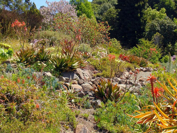Berkeley Botanical Garden