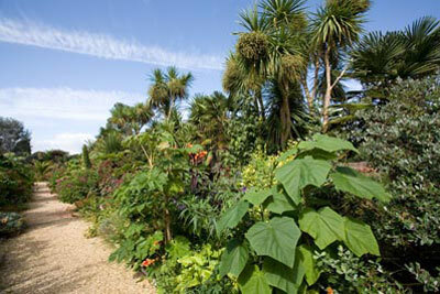 The Walled Gardens at Cannington, Somerset