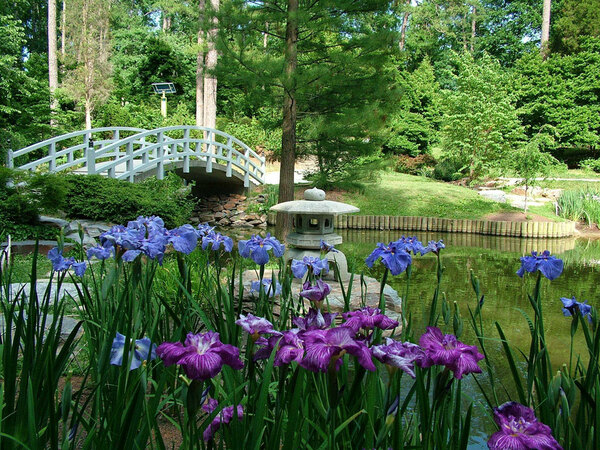 Sarah P Duke Gardens, North Carolina