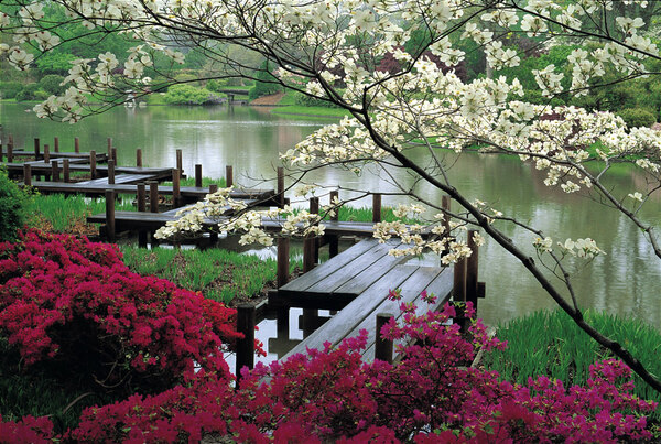 Japanese Garden, Missouri Botanical Garden