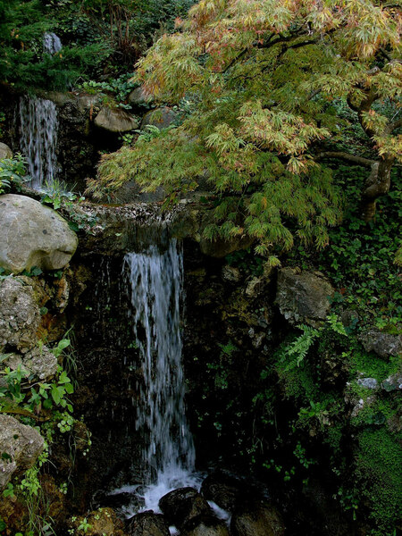 Waterfall, Hakone Gardens