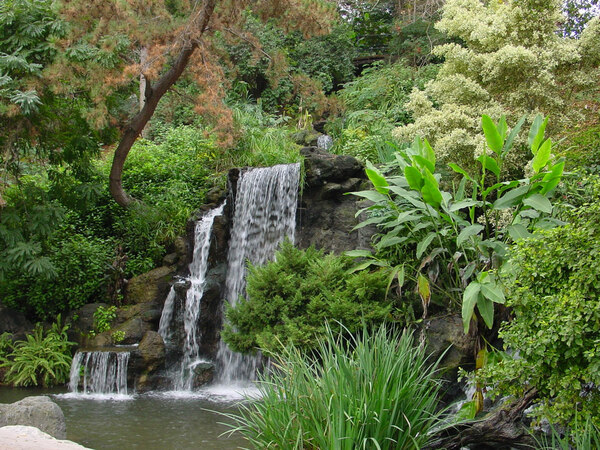 Waterfall, Los Angeles County Arboretum & Botanic Garden