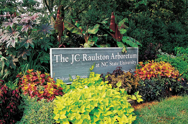 JC Raulston Arboretum at NC State University, North Carolina
