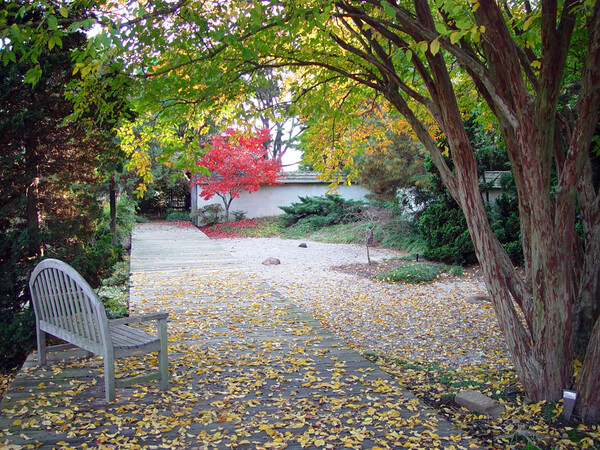 JC Raulston Arboretum at NC State University