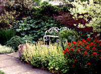 Saling Hall Garden