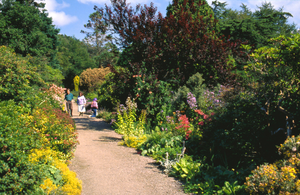 Arduaine Garden National Trust for Scotland