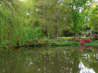 visit hampton court palace gardens