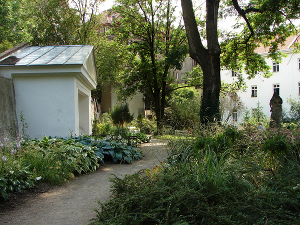Prague Botanical Garden (Charles University) Craig Elliot