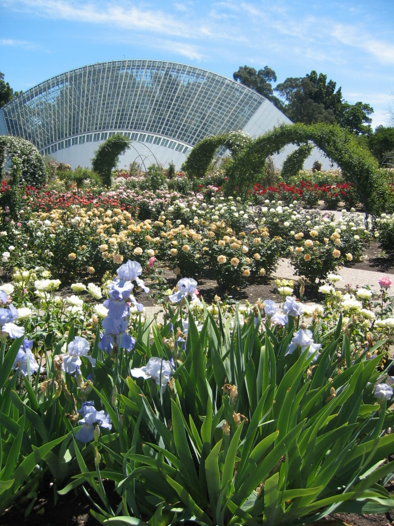 Adelaide Botanic Garden