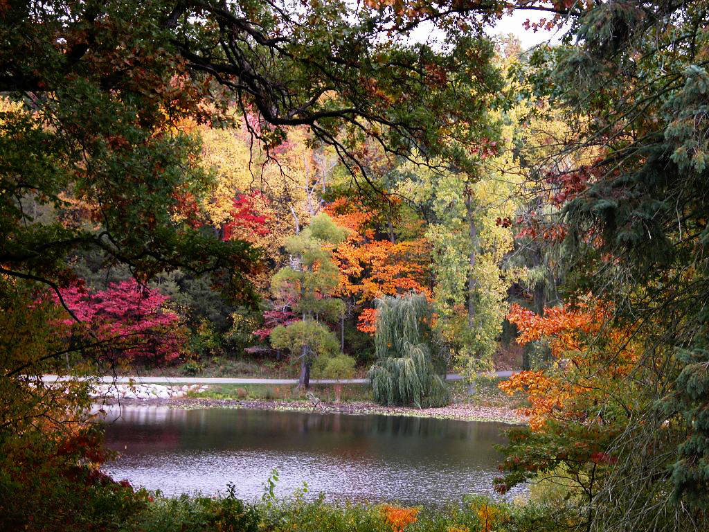 Hidden Lake Gardens MSU (@hiddenlkgardens) / X