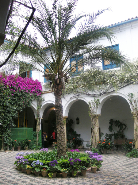 Palacio de Viana Garden Toni Almodóvar Escuder