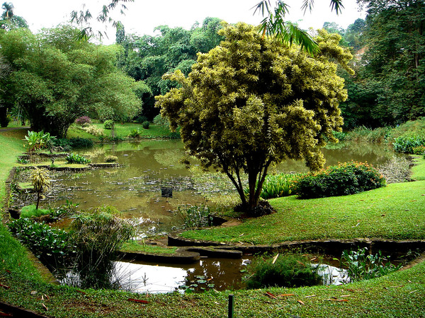 Peradeniya Botanic Gardens Michael Renner