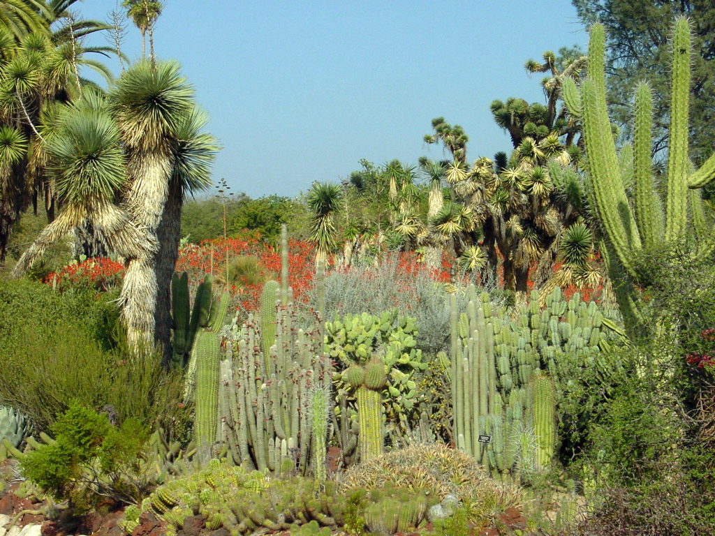 Huntington Botanical Gardens