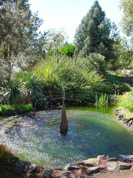 Pool, Ruth Bancroft Garden