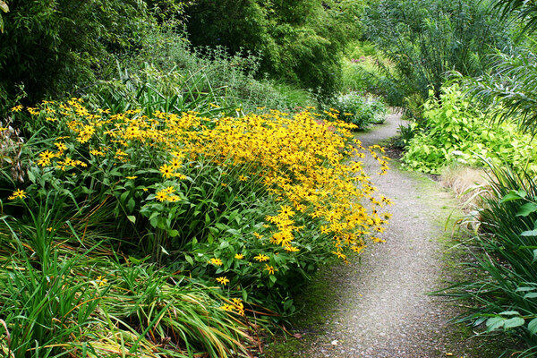 Path, Broadview Gardens