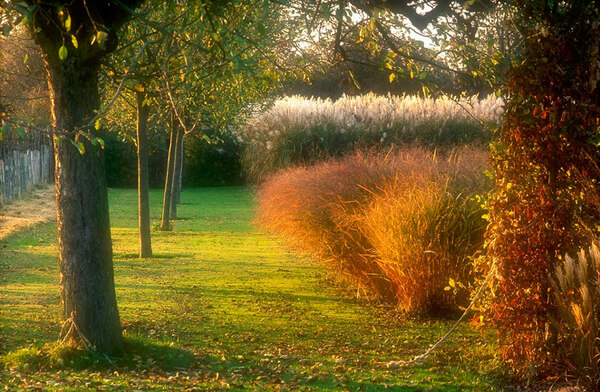 Jardin Plume, France