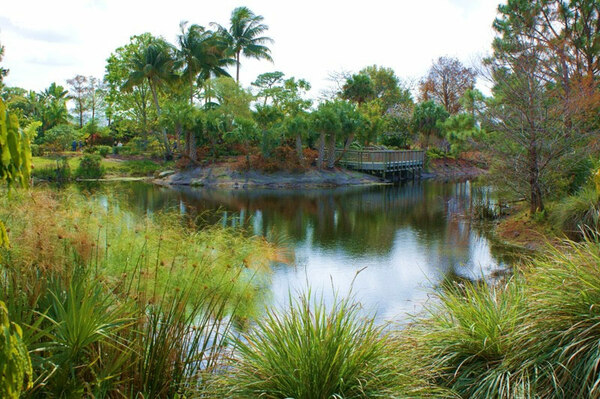 Mounts Botanical Garden, Florida