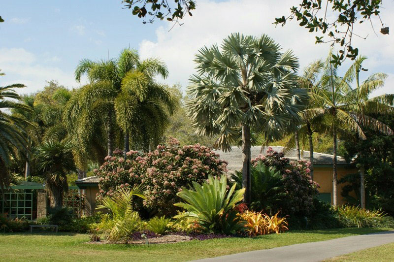 Fairchild Garden