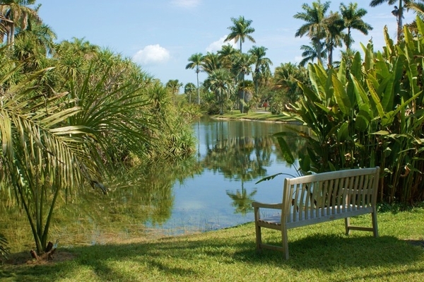 Bench, Fairchild Tropical Botanic Garden
