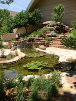 Cowboy Gardens