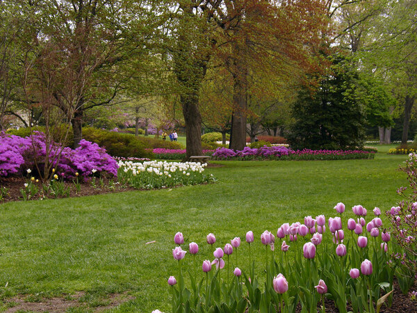 Sherwood Gardens, Maryland