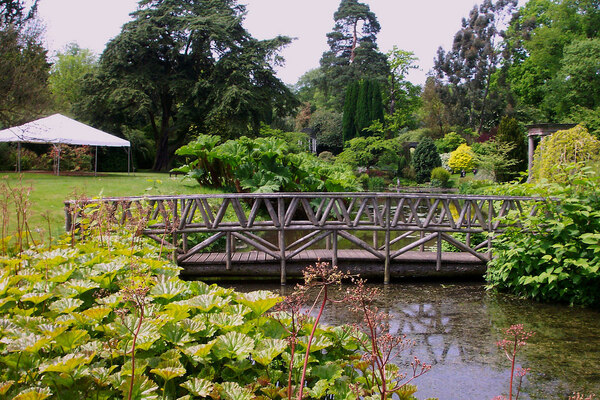 Bridge, Cholmondeley Castle Gardens