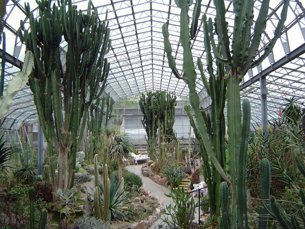 Cacti, Duthie Park